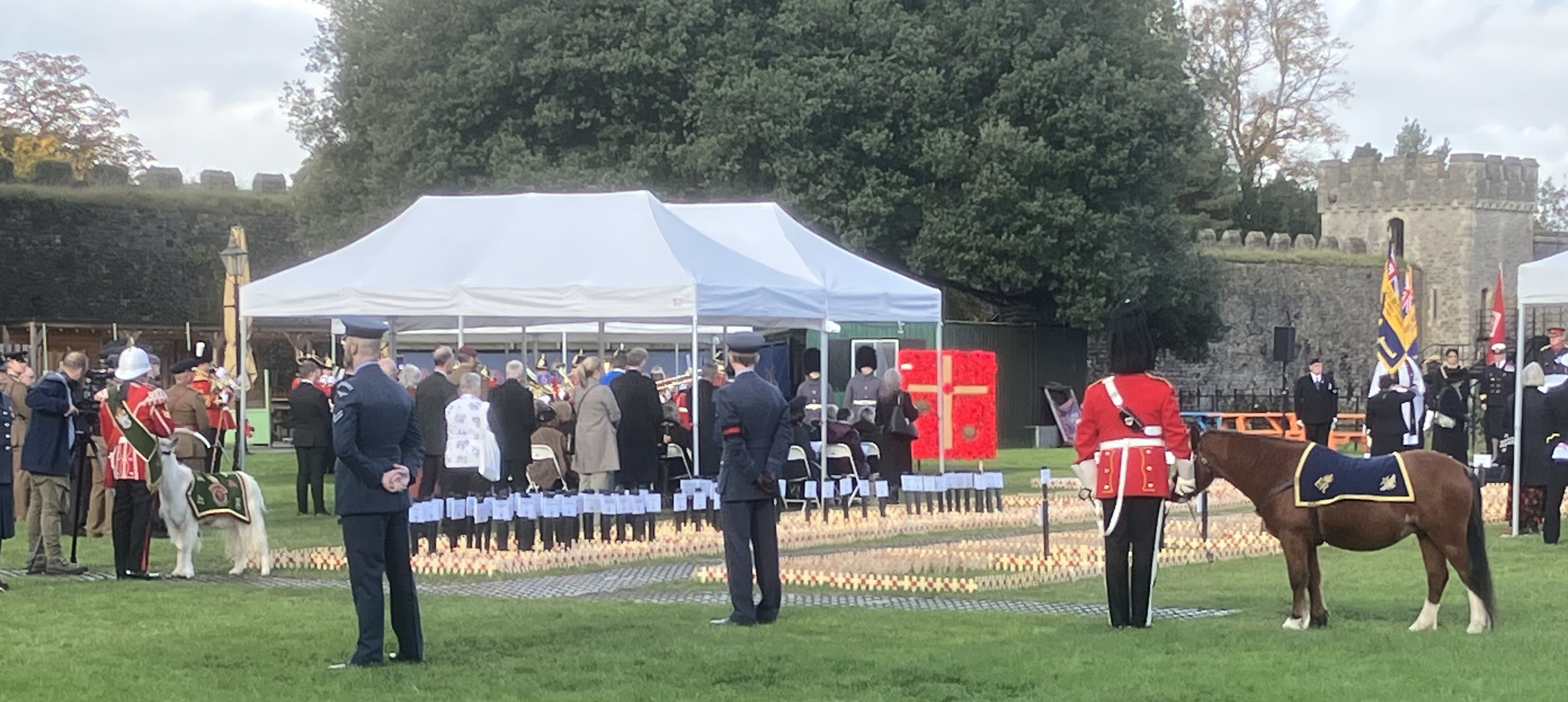 REGIMENTAL MASCOTS SERVING WITH THE THIRD BATTALION ROYAL WELSH AND THE WELSH CAVALRY